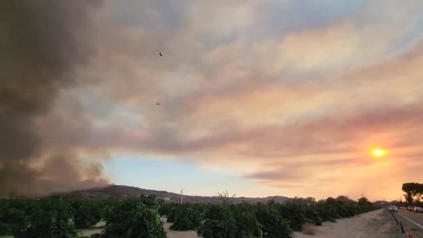 Fairview Fire Burning Wooded Hills Heat Smoke Drives Animals Birds — Stock Video