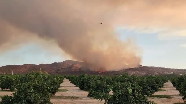 カリフォルニア州リバーサイド郡ヘメット近くの大規模な山火事で煙の噴煙から消防機が飛び立ち — ストック動画