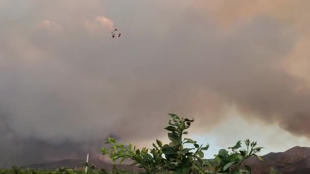 Літак Водяним Бомбардувальником Літає Над Лісовими Пожежами Каліфорнії — стокове відео