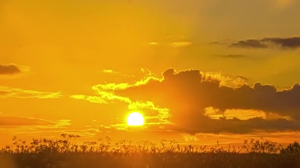 Tele Zeitraffer Aufnahme Des Strahlend Runden Gelben Sonnenuntergangs Strahlend Goldener — Stockvideo