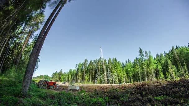 Lapso Tempo Mostrando Máquinas Pesadas Cortando Árvores Selva Verde Densa — Vídeo de Stock