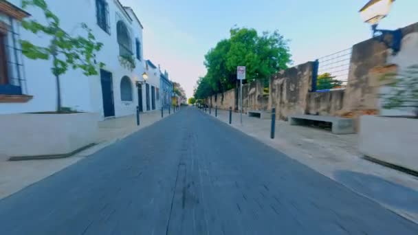 Vuelo Fpv Calle Calle Arzobispo Merino Zona Colonial República Dominicana — Vídeo de stock