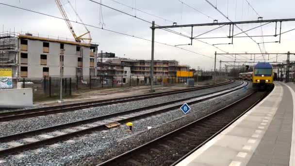 Chegada Trem Ferroviário Holandês Azul Amarelo Plataforma Estação Ferroviária Com — Vídeo de Stock
