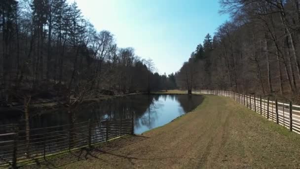 Aerial View Low Pond Wildpark Budingen Spring Sunny Hesse Germany — Stock Video