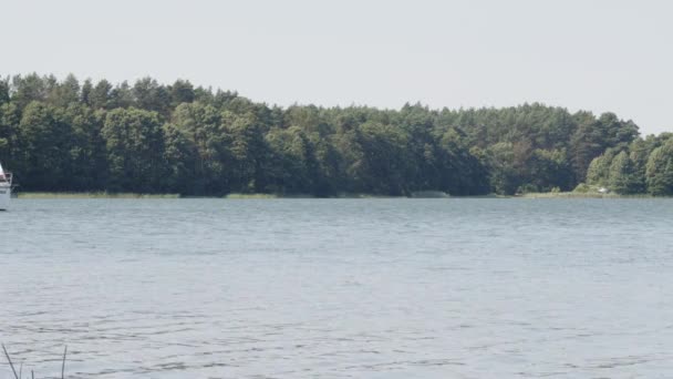 ポーランドのWdzydze湖でボートセーリング ワイド — ストック動画