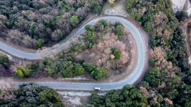 Avrupa Yolunda Ormanda Virajlı Hava Manzaralı Araba Sürüyor — Stok video