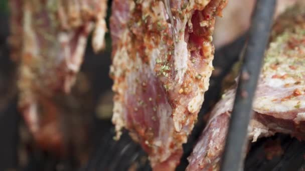 新鮮な調理されていない豚肉の肋骨の閉じるポメール — ストック動画