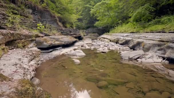 Рокі Струмок Лісі Півночі Штату Нью Йорк Влітку — стокове відео