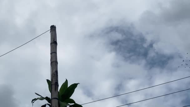 Tiro Baixo Ângulo Céu Nublado Dramático Com Nuvens Cúmulos Brancas — Vídeo de Stock