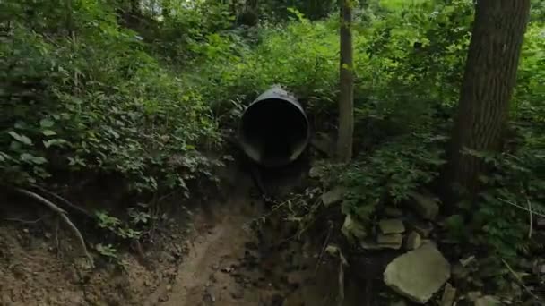 Zalesněná Plocha Odvodňovacím Tunelem Oddálení — Stock video