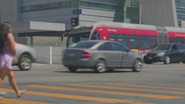 로스앤젤레스 얼룩말 줄무늬를 가로지르는 비디오 일반적 경찰서 사람들 건너는 — 비디오