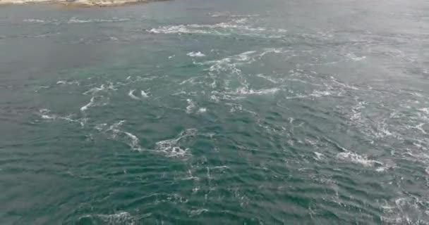 노르웨이 바다에서의 — 비디오