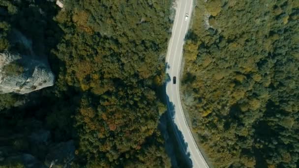 Повітряні Машини Їздять Звивистій Лісовій Дорозі Через Мальовничий Ландшафт Вид — стокове відео