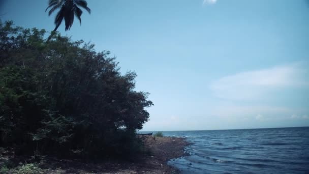 Spacer Wzdłuż Wybrzeża Wyspie Ometepe Nikaragui — Wideo stockowe