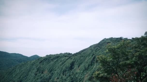 哥斯达黎加热带雨林的观点 — 图库视频影像