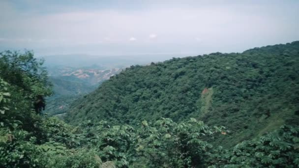 哥斯达黎加热带雨林的观点 — 图库视频影像