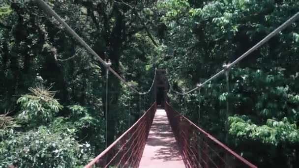 モンテベルデの赤い橋を歩く クラウド フォレスト リザーブ — ストック動画