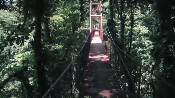 Περπάτημα Πάνω Από Μια Κόκκινη Γέφυρα Στο Monteverde Cloud Forest — Αρχείο Βίντεο