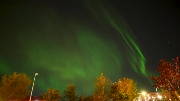 Atemberaubende Nordlichtaktivität Vor Dem Sternenhimmel Handheld — Stockvideo