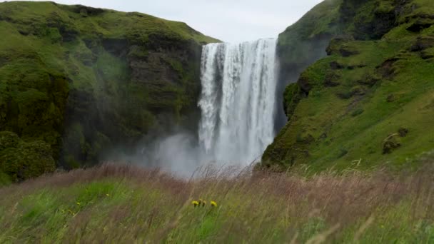 Tiro Estático Plantas Grama Ondulando Desfocado Frente Cachoeira Skogafoss Gigante — Vídeo de Stock