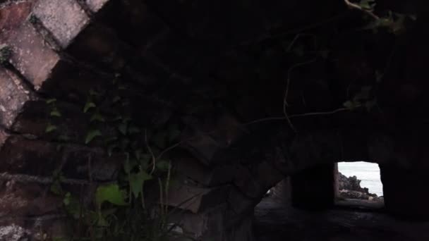 Abandonné Envahi Porth Wen Gallois Briqueterie Dôme Four Ruines Tirer — Video