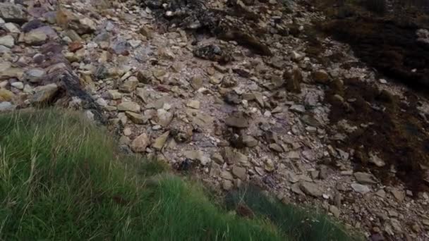Kayalık Porth Wen Plajından Endüstriyel Tuğla Fabrikası Kıyı Harabelerine Kadar — Stok video
