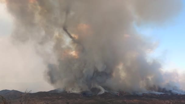 Divokého Ohně Hořícího Hoře Stoupal Černý Šedý Kouř Fairview Fire — Stock video