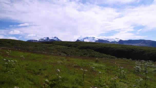 Prachtig Breed Panning Shot Van Ijsland Skaftafell Glacier Verte — Stockvideo