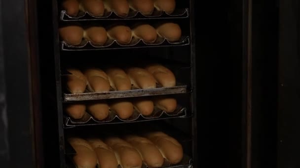 Horno Pan Hecho Mano Listo Para Hornear Panecillos Panadería Artesanal — Vídeo de stock
