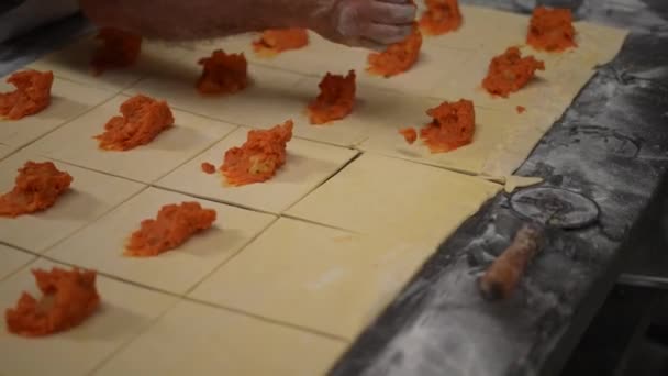 Esnaf Fırını Ekmek Pasta Yapan Fırıncı Hamur Yoğurucu Fırıncı Elleri — Stok video