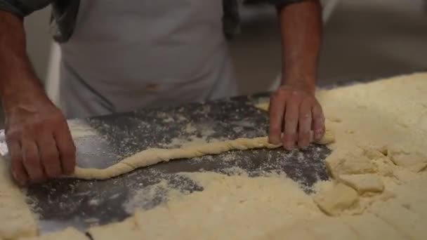 제빵사 제과점 치즈등으로 곰팡이 — 비디오
