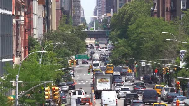 ニューヨークの街の景色は忙しい一日のうちに — ストック動画