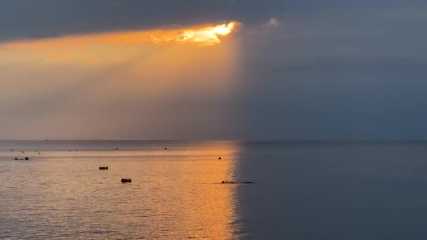 Dramático Atardecer Dorado Silueta Snorkeler Emergiendo Del Mar Vista Desde — Vídeos de Stock