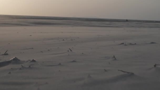 Mutarea Boabe Nisip Vânt Apus Soare Plaja Goa India — Videoclip de stoc
