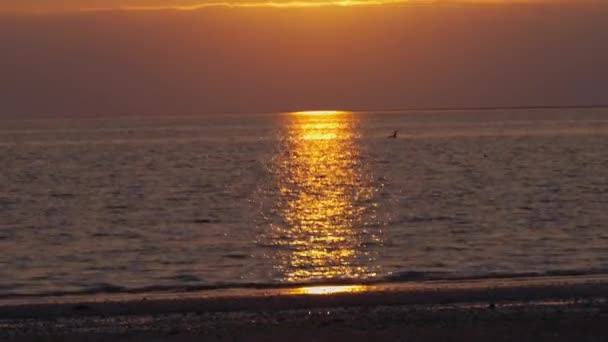 Dramatyczny Piękny Epicki Czerwony Pomarańczowy Zachód Słońca Oceanie Szeroki Strzał — Wideo stockowe