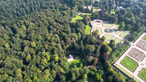 Прекрасный Вид Дворец Хет Нидерландах Высоты Птичьего Полета — стоковое видео