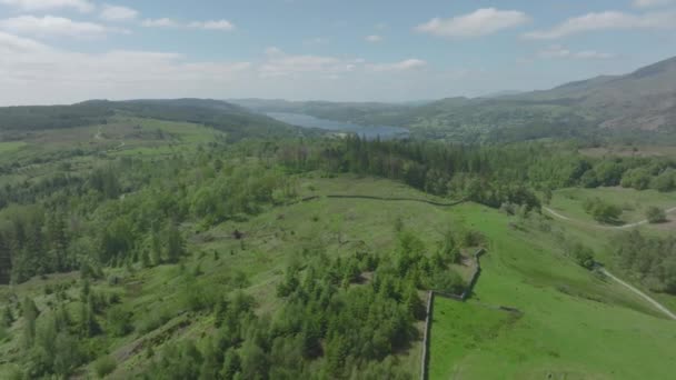 Tarn Hows Lake District National Park Summer 2022 Aerial Drone — 图库视频影像
