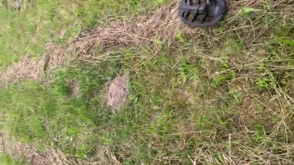 芝生のフィールドに埋め金属物体のための金属探知機のトレースを持つ男 縦ハメ — ストック動画