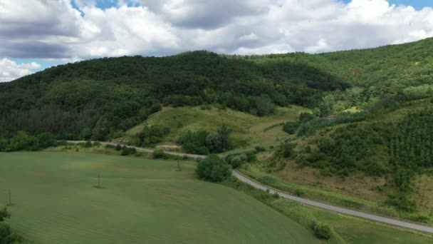 夏季沿着乡间道路行驶的汽车的空中景观 — 图库视频影像
