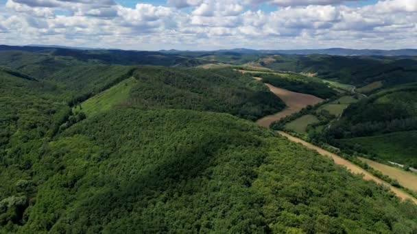 Hungary Güneşli Bir Ormanda Yolculuğa Çıkmak — Stok video