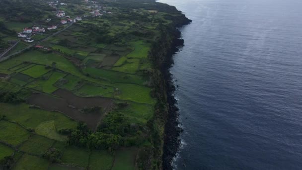 Letecký Pohled Obrovské Čedičové Skalní Útesy Azorských Ostrovech Pico Ostrovní — Stock video
