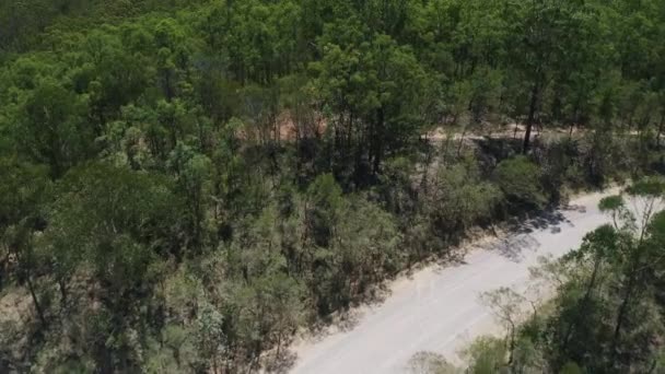 空中4K无人机俯瞰树木 远眺绿地和温室山景 — 图库视频影像