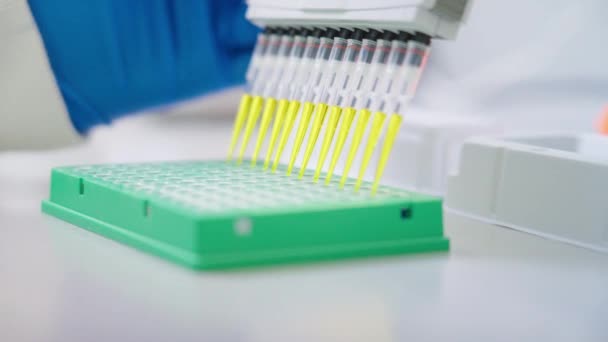 Close Research Scientist Dispensing Yellow Liquid Multichannel Pipette Microplate Laboratory — Stock Video