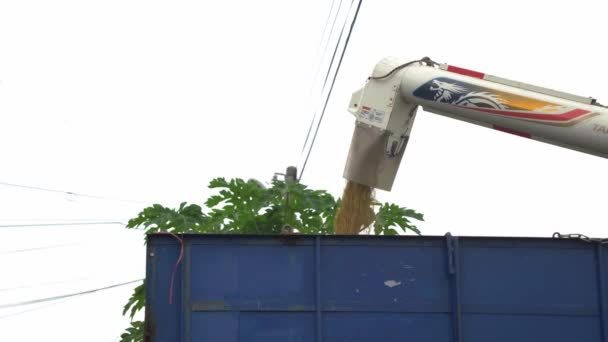 Combine Harvester Unloading Rice Crop Truck Ready Transported Warehouse Douliu — Vídeo de stock