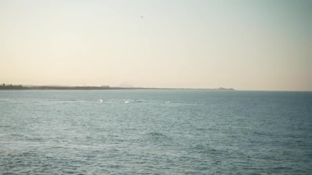 Beach Shore Coastline Sunset Small Plane Flying Horizon Distance — Video