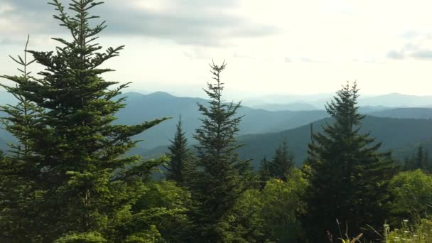 Amerika Birleşik Devletleri Nin Güneyindeki Smoky Mountain Range Puslu Manzarası — Stok video