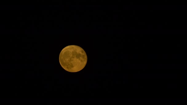 Lua Amarela Cheia Até Céu Verão Noite — Vídeo de Stock