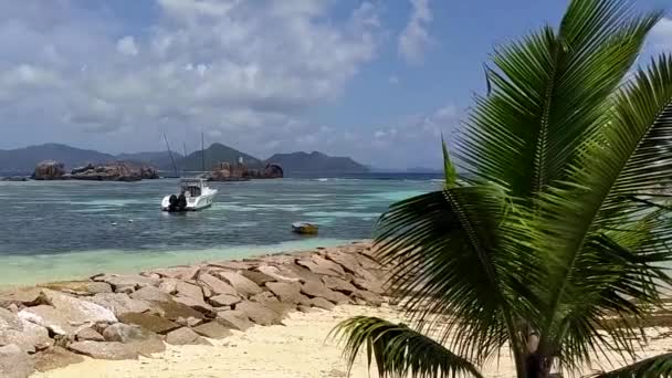 船が防波堤とヤシの木をドッキングしたラ デジュセイシェル熱帯ビーチ — ストック動画