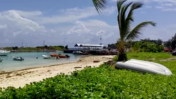 Digue Seychelles Tropical Island Beach Boats Docked Palm Trees — 图库视频影像