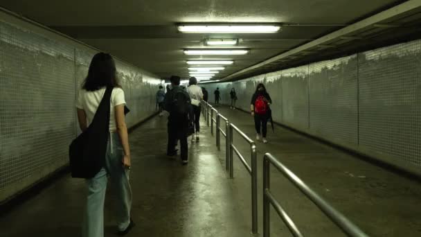 Chinese City Cross Road Underground Pedestrian Walking — 비디오